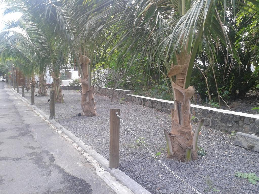 Lodge Dodola Pereybere Beach